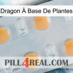 Dragon À Base De Plantes 24